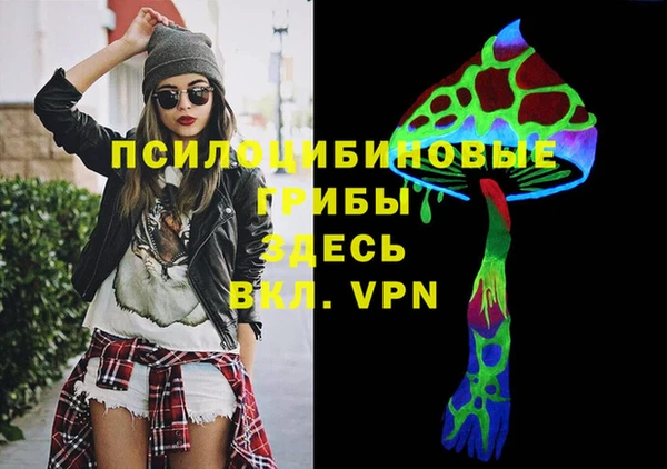 эйфоретик Абинск