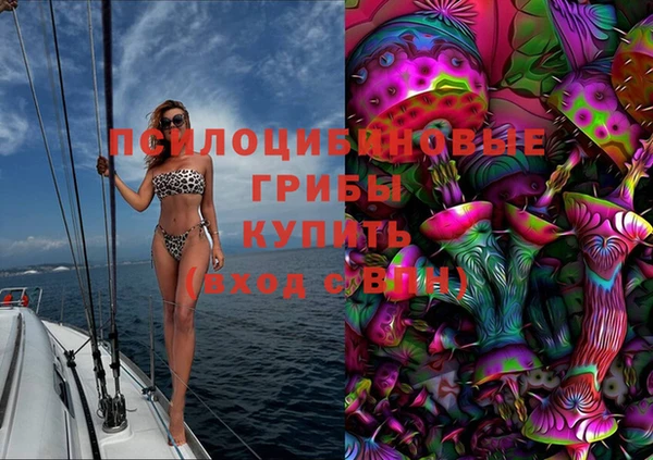 PSILOCYBIN Наволоки